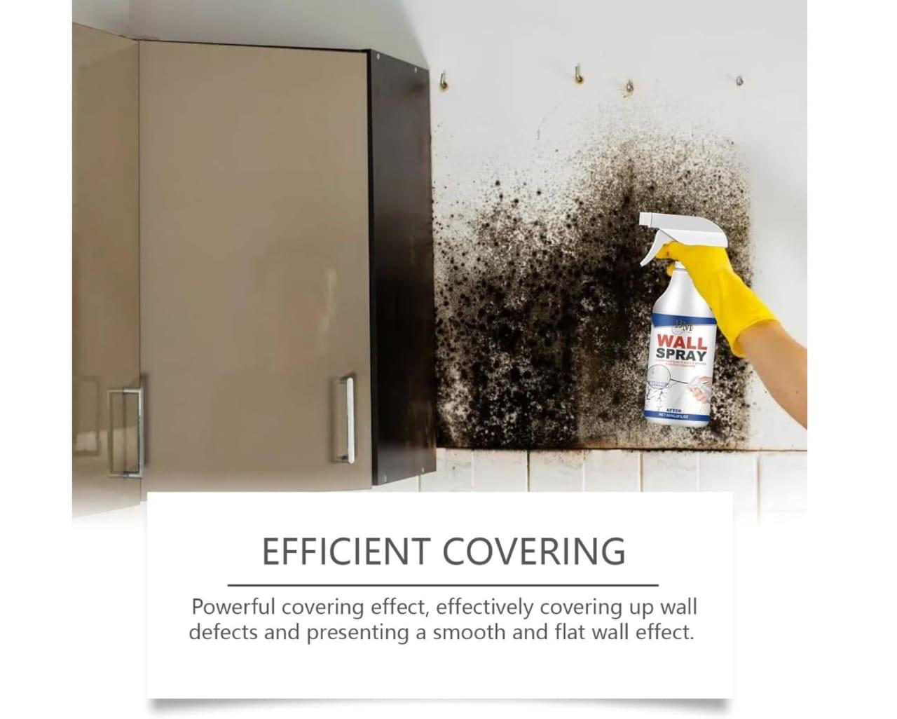 Wall Repair Spray