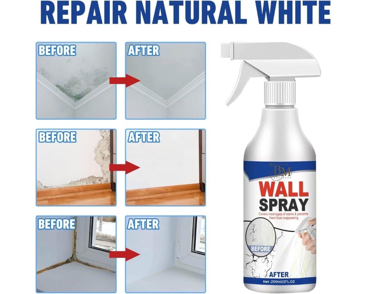 Wall Repair Spray