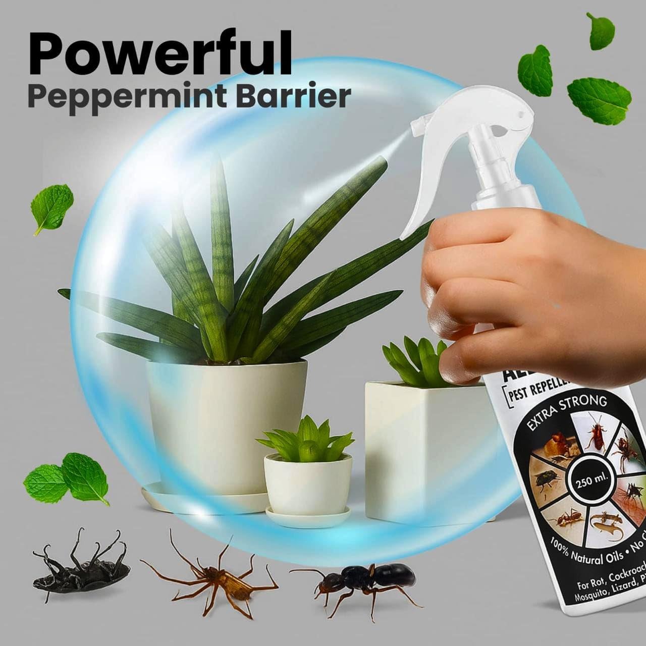 All-in-One Pest Repellent Spray